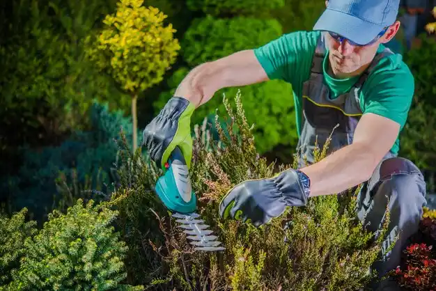 landscaping services Lockport Heights